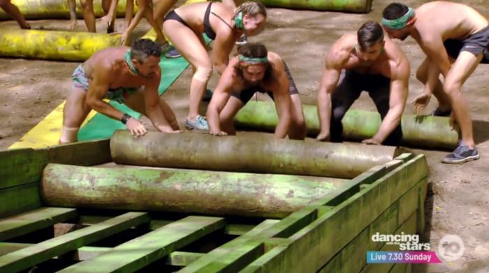 Survivor 7-5