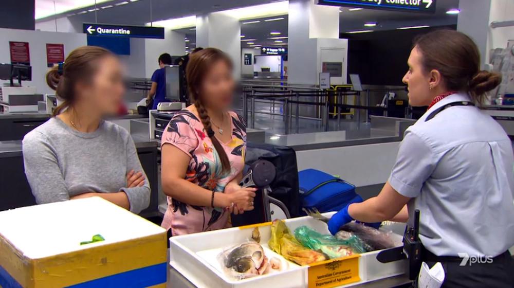 Border Security 19-9