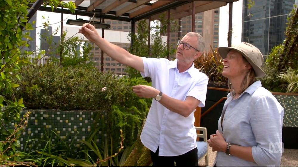 Gardening Australia s31e08