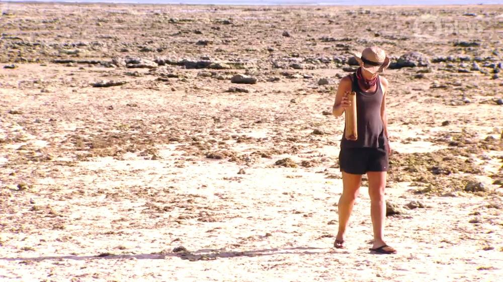 Survivor 6-23