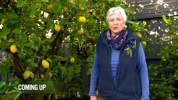 Gardening Australia s31e20