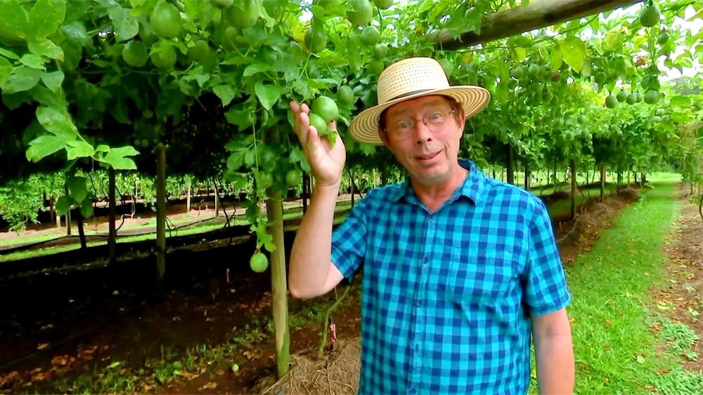 Gardening Australia s31e23