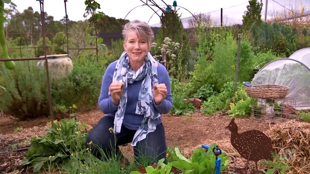 Gardening Australia s31e25