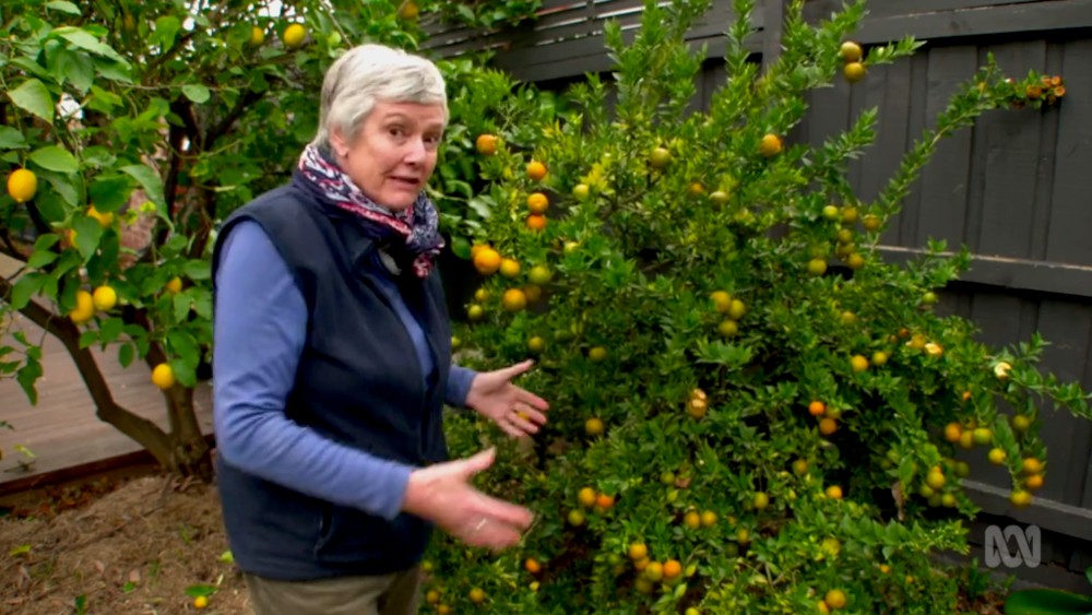 Gardening Australia s31e34