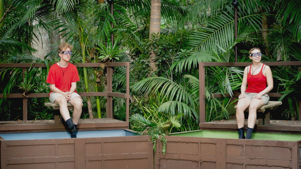 I’m a Celebrity 7-19