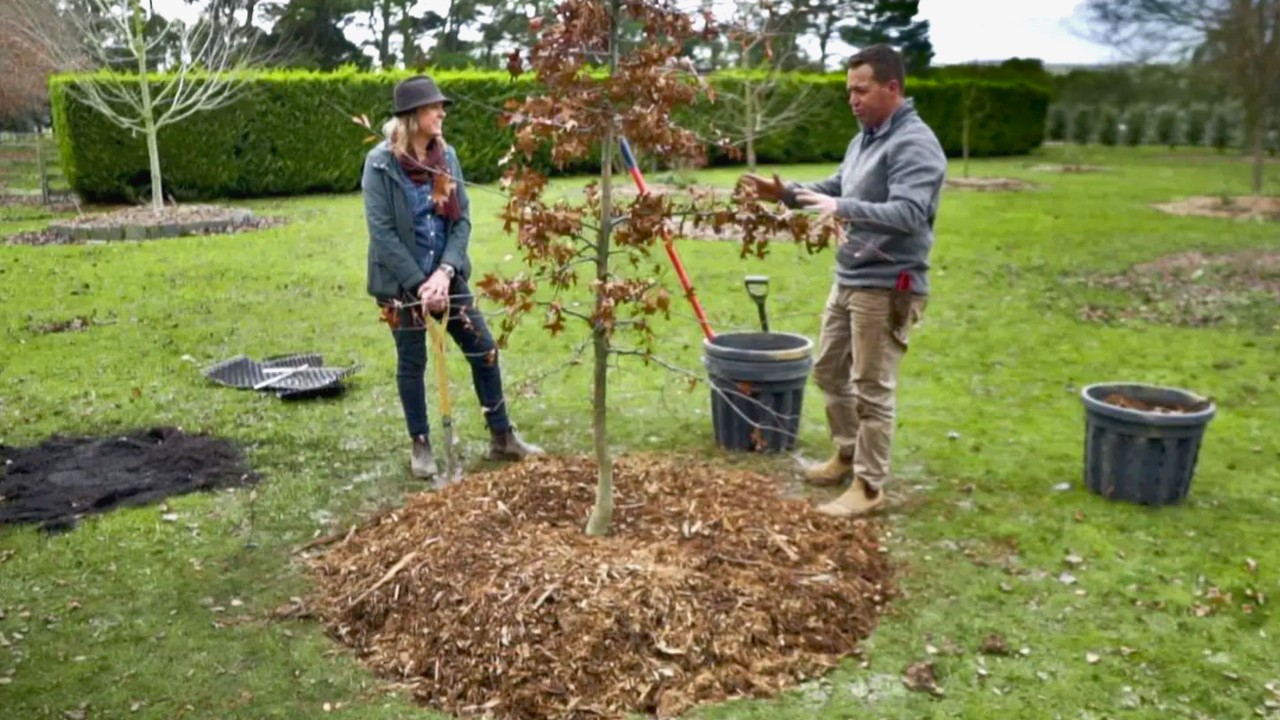 Gardening Australia 32-18