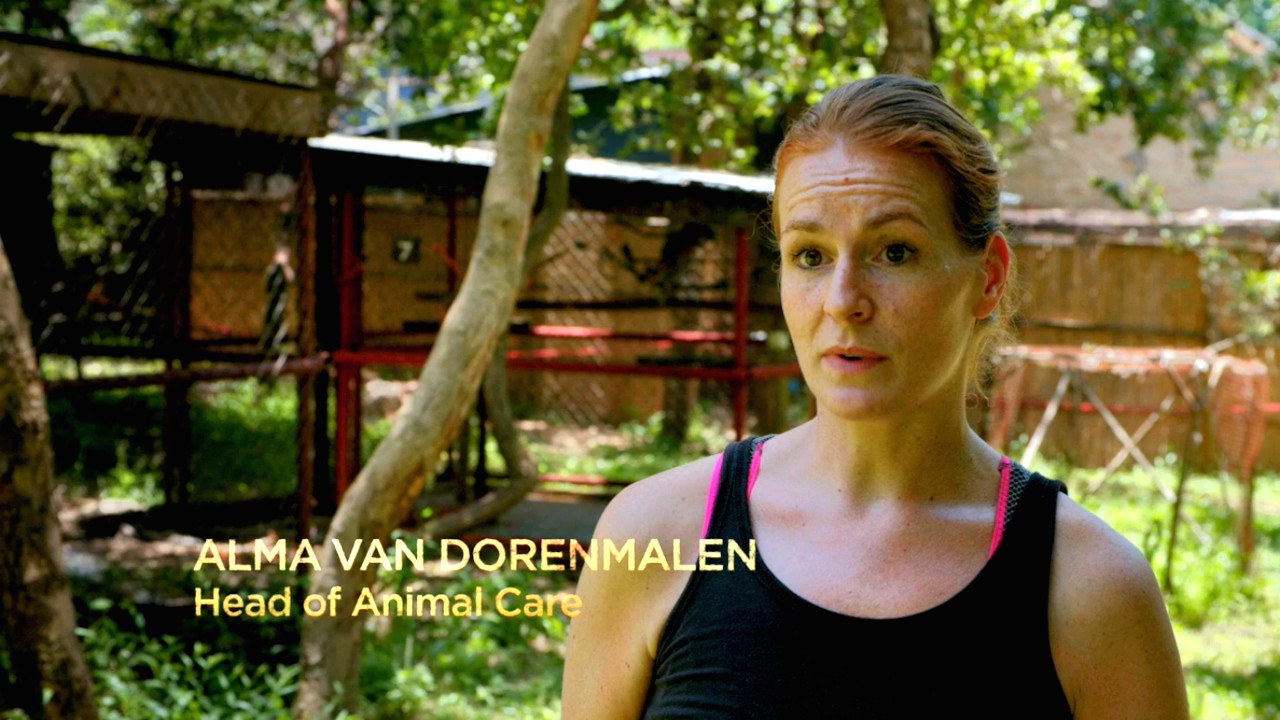 Malawi Wildlife Rescue 1-4