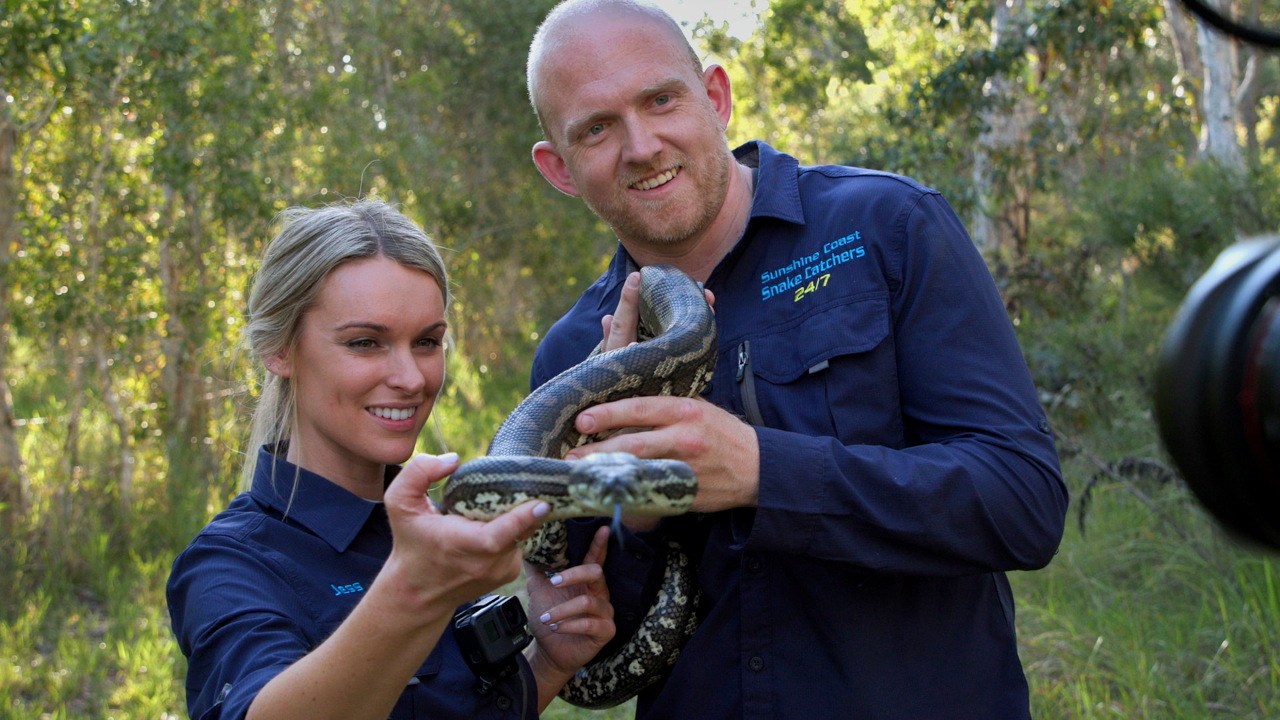 Aussie Snake Wranglers 1-5