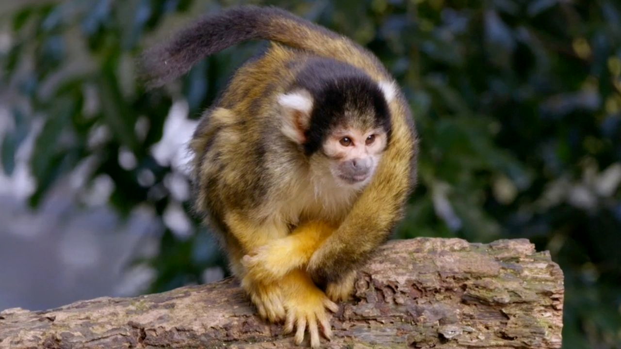 Inside Taronga Zoo 2-3
