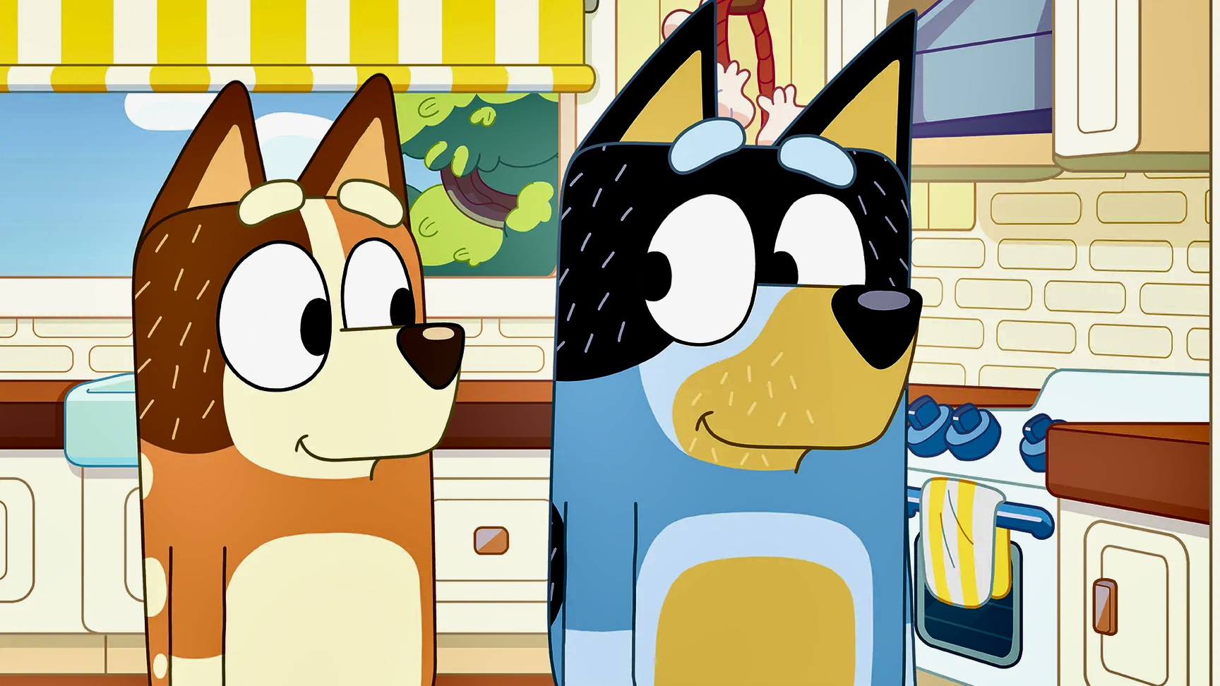 Bluey 3-7