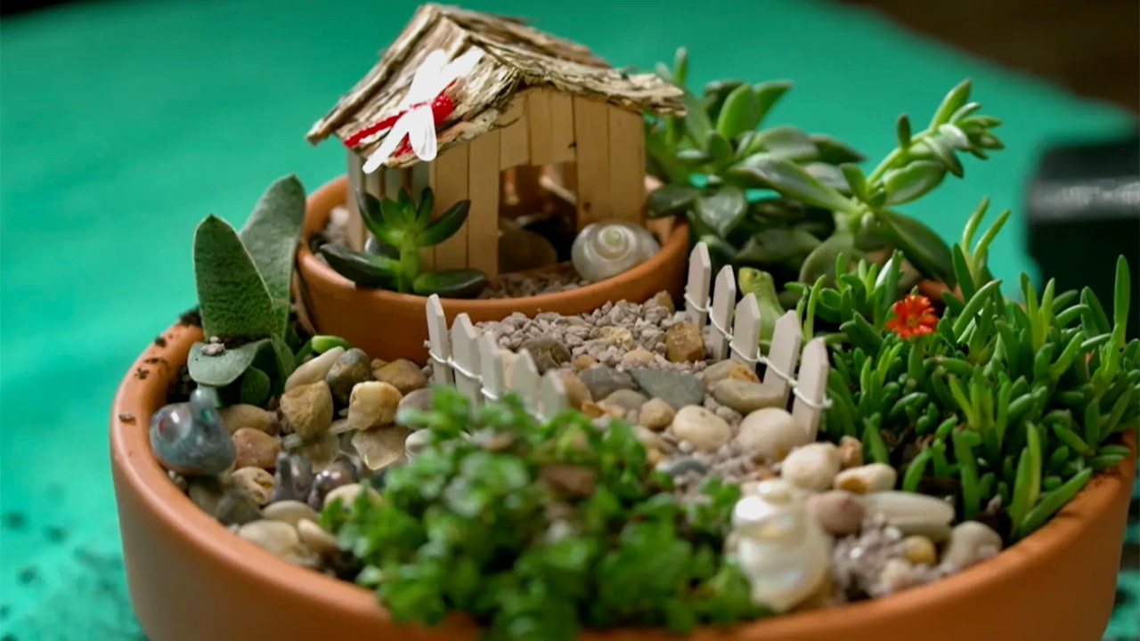 Gardening Australia 32-31