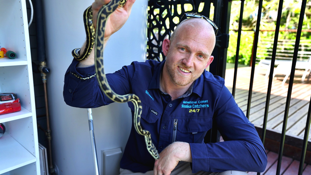 Aussie Snake Wranglers 1-7