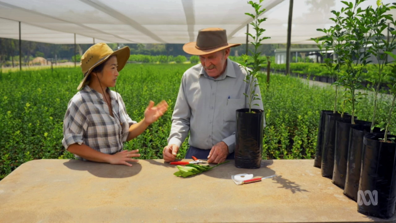 Gardening Australia 32-35