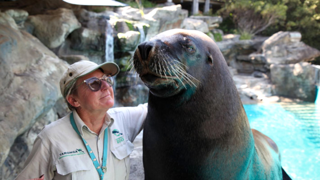 Inside Taronga Zoo 2-11