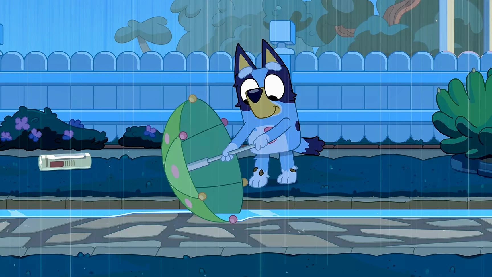 Bluey 3-18