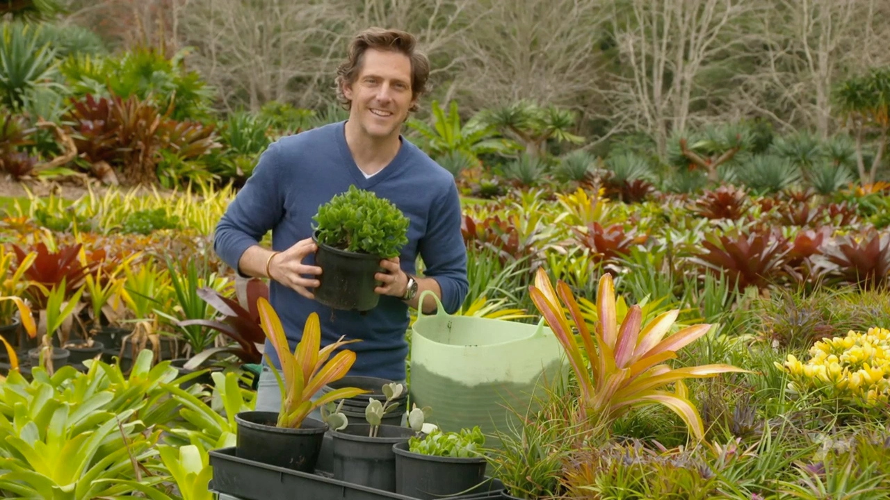 Better Homes and Gardens 28-13