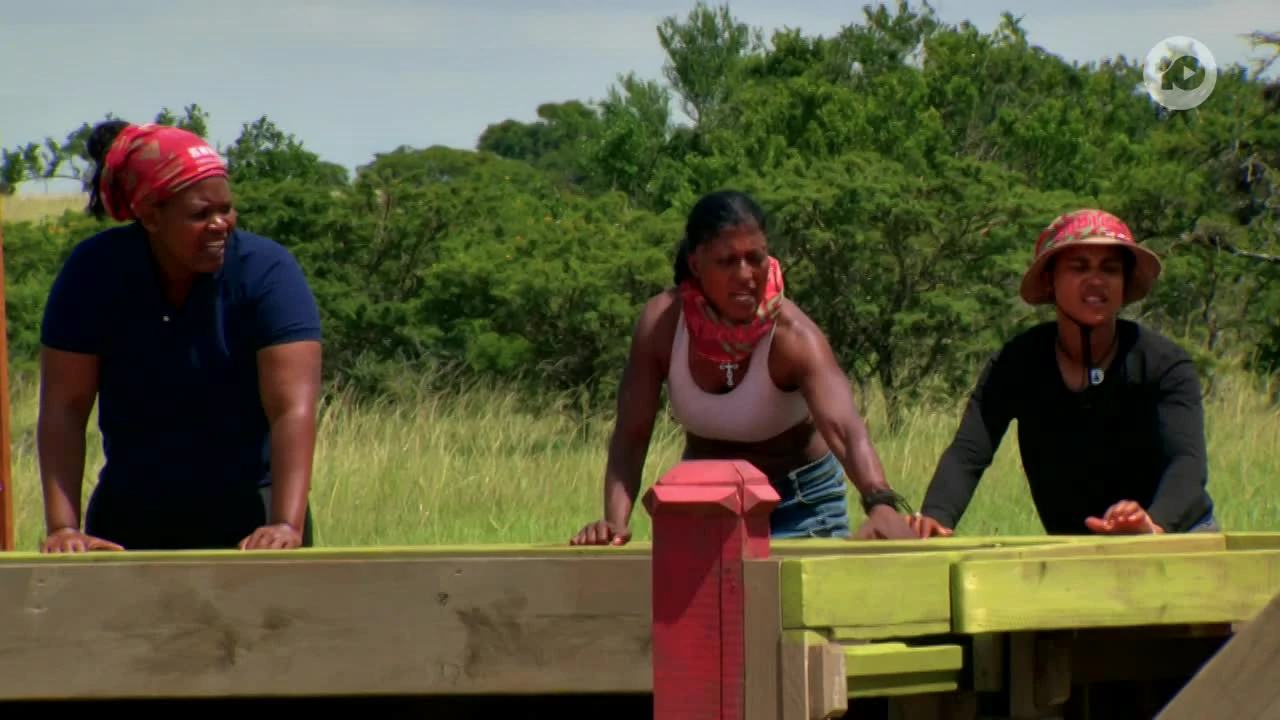Survivor 9-6