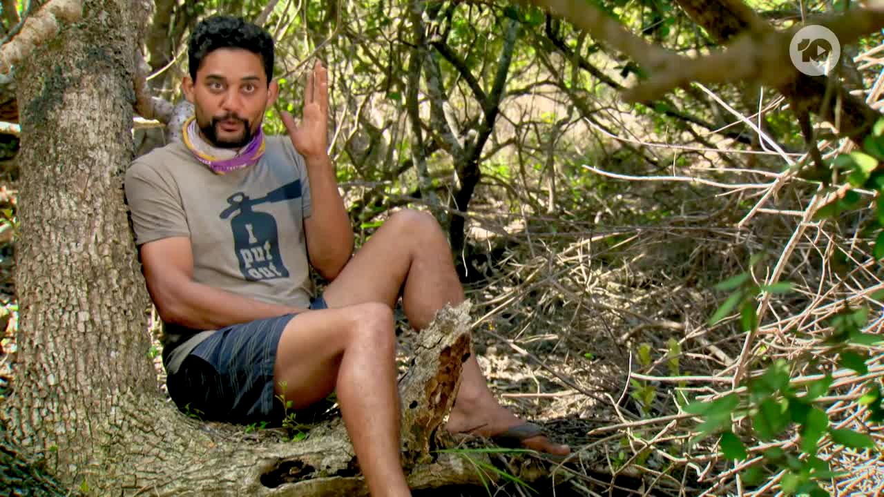 Survivor 9-15