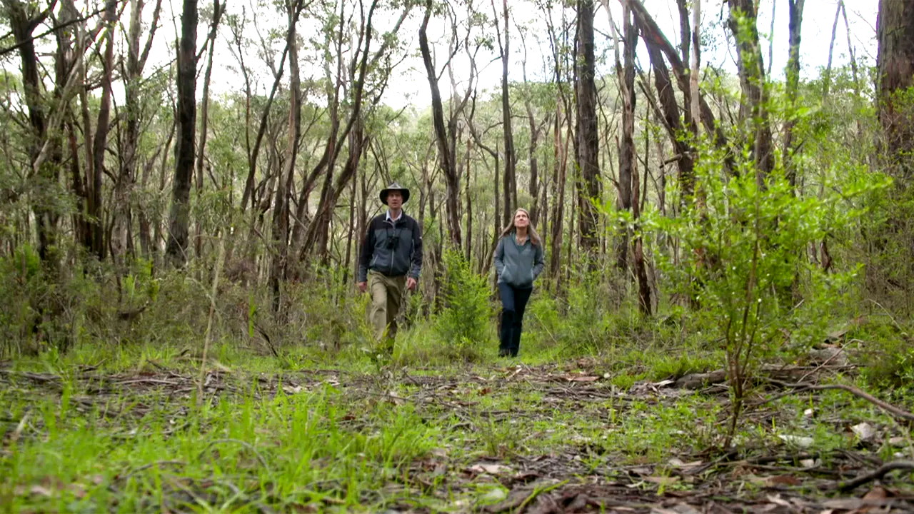 Gardening Australia 33-21