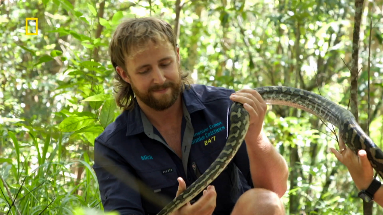 Aussie Snake Wranglers 2-6
