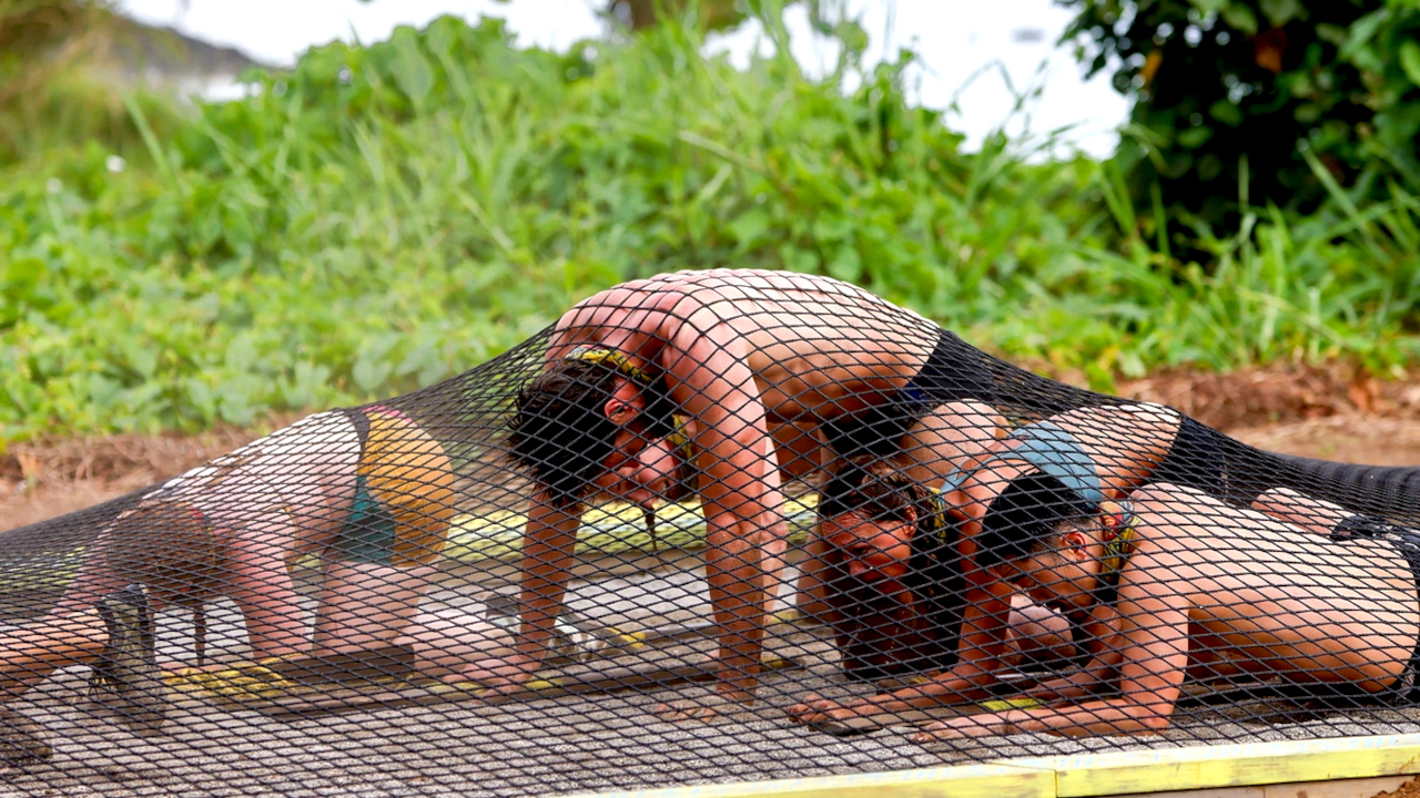 Survivor 10-6