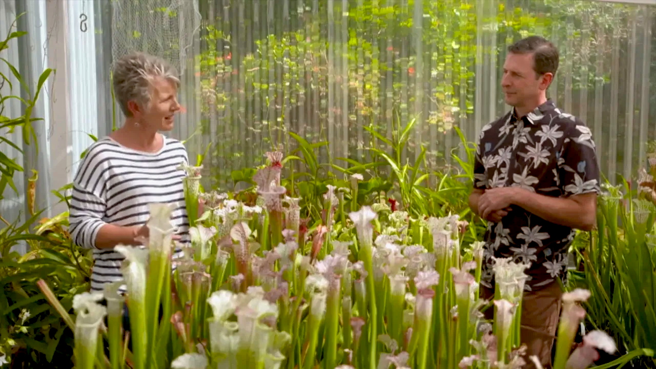 Gardening Australia 34-3
