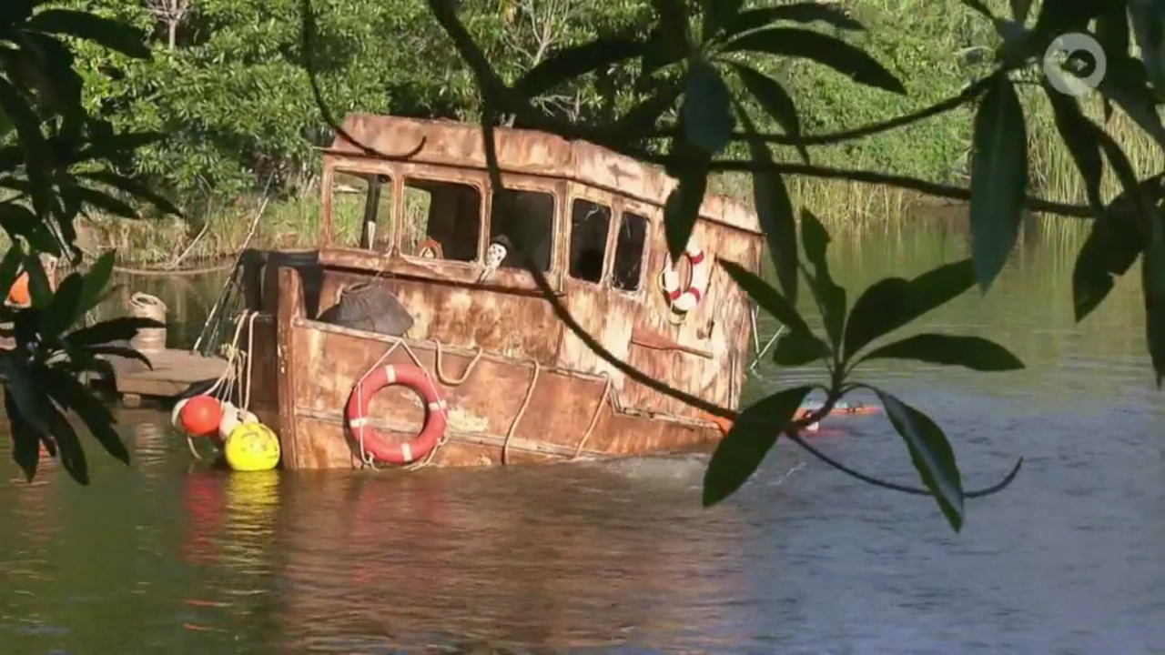 I’m a Celebrity 9-16