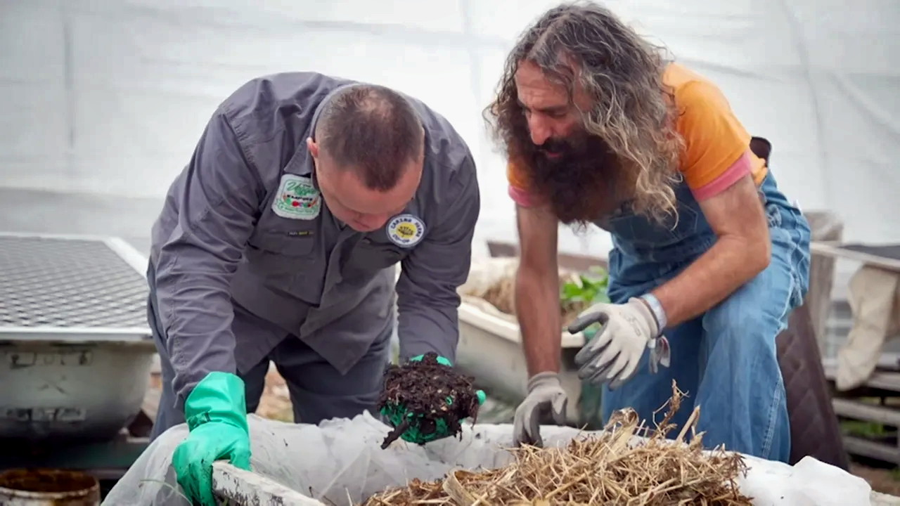 Gardening Australia 34-12