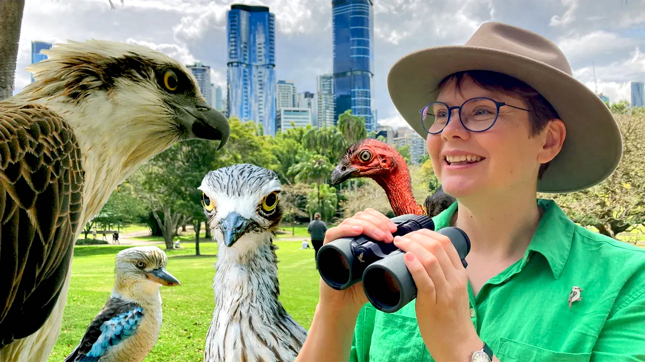 Secret Lives of Our Urban Birds 1-2