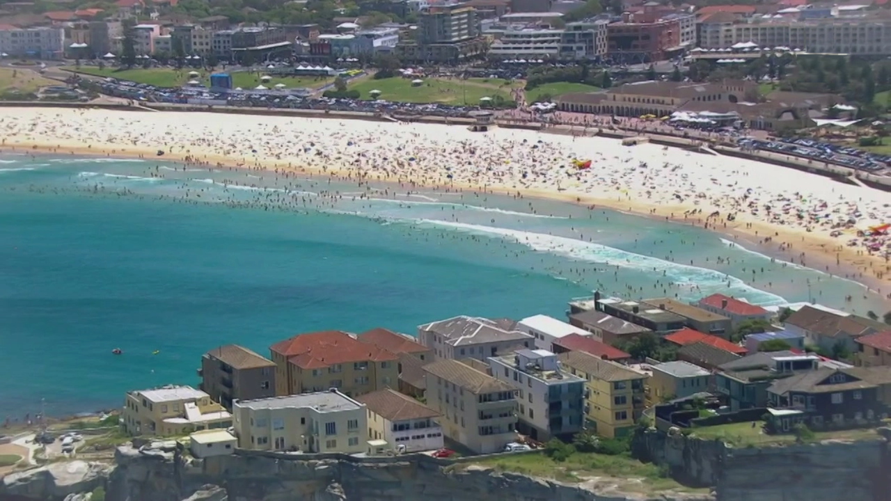 Bondi Rescue 17-11