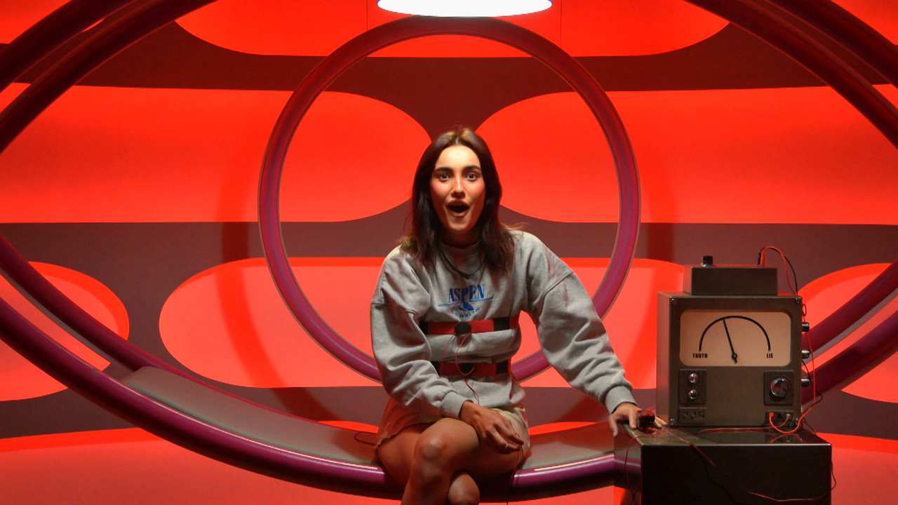 Big Brother 15-17