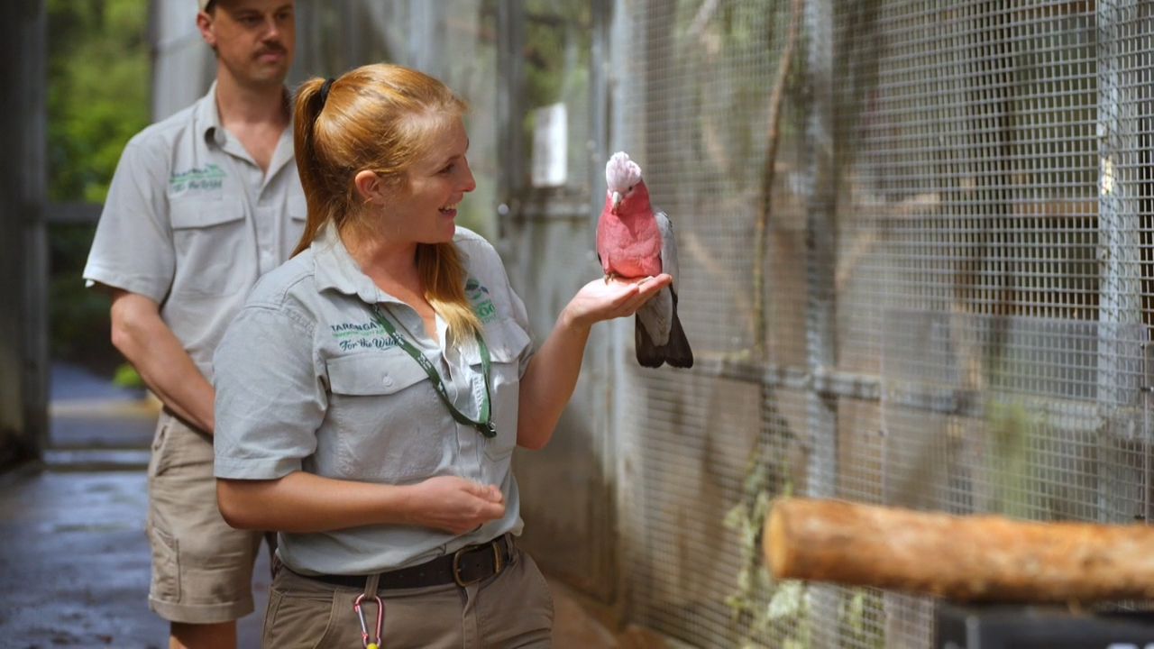 Inside Taronga Zoo 4-8
