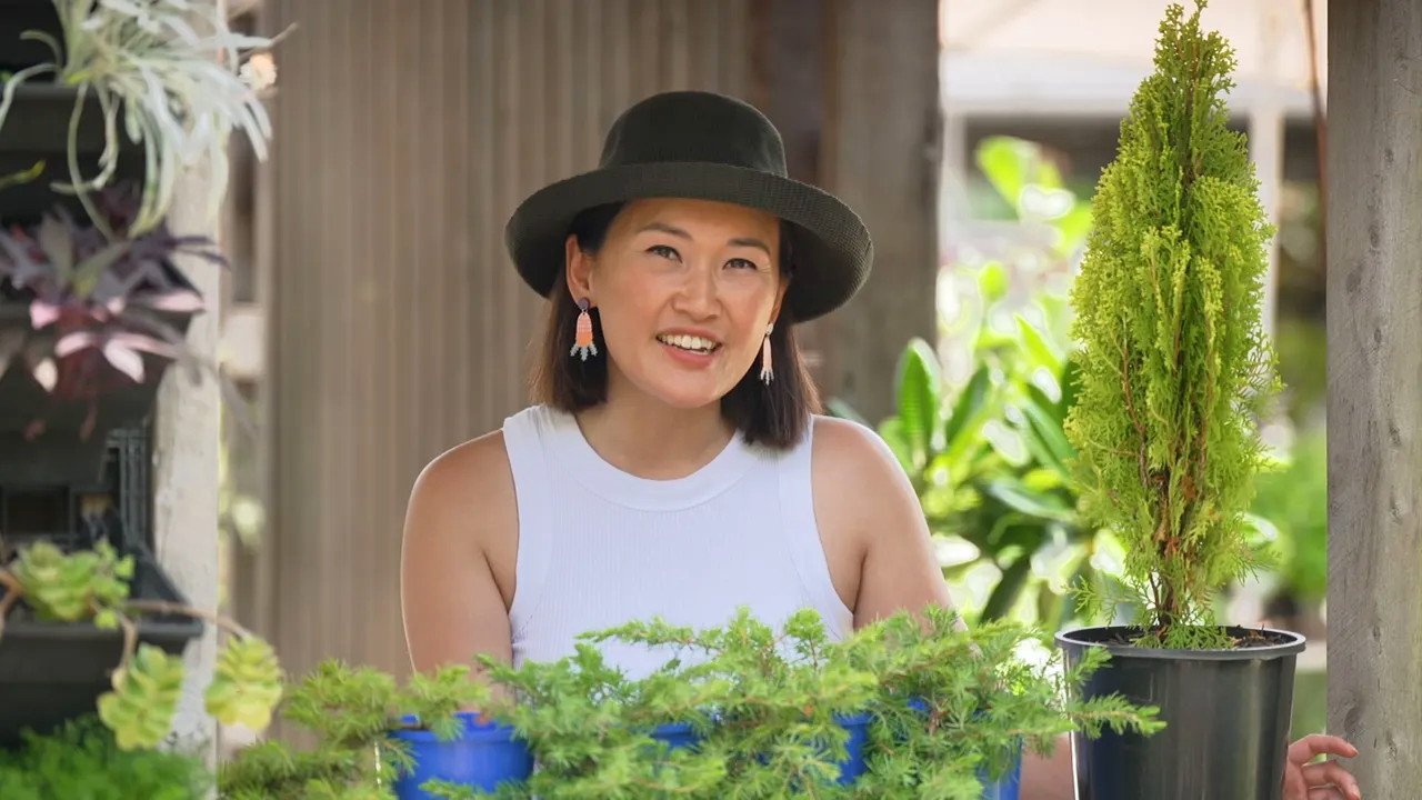 Gardening Australia 35-26