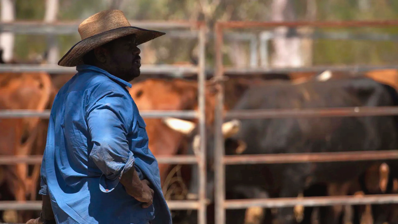 Outback Ringer 2-1