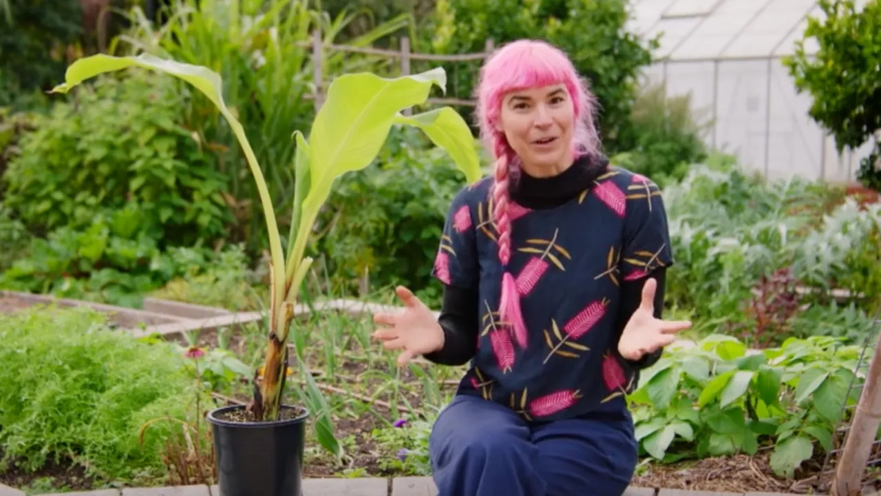 Gardening Australia 36-22