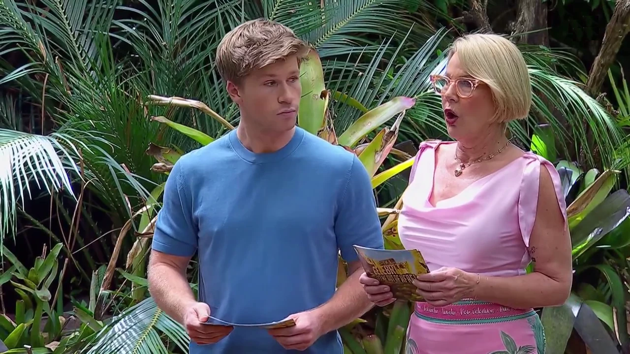 I’m a Celebrity 12-4