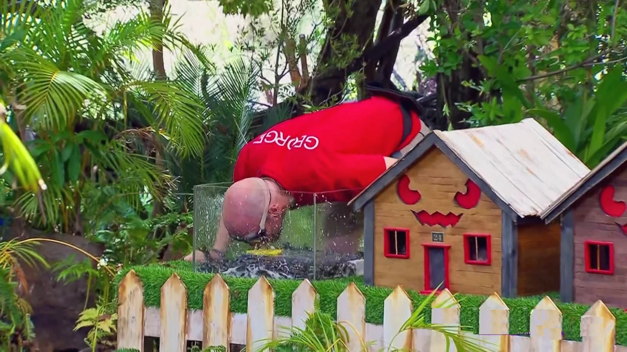 I’m a Celebrity 12-16