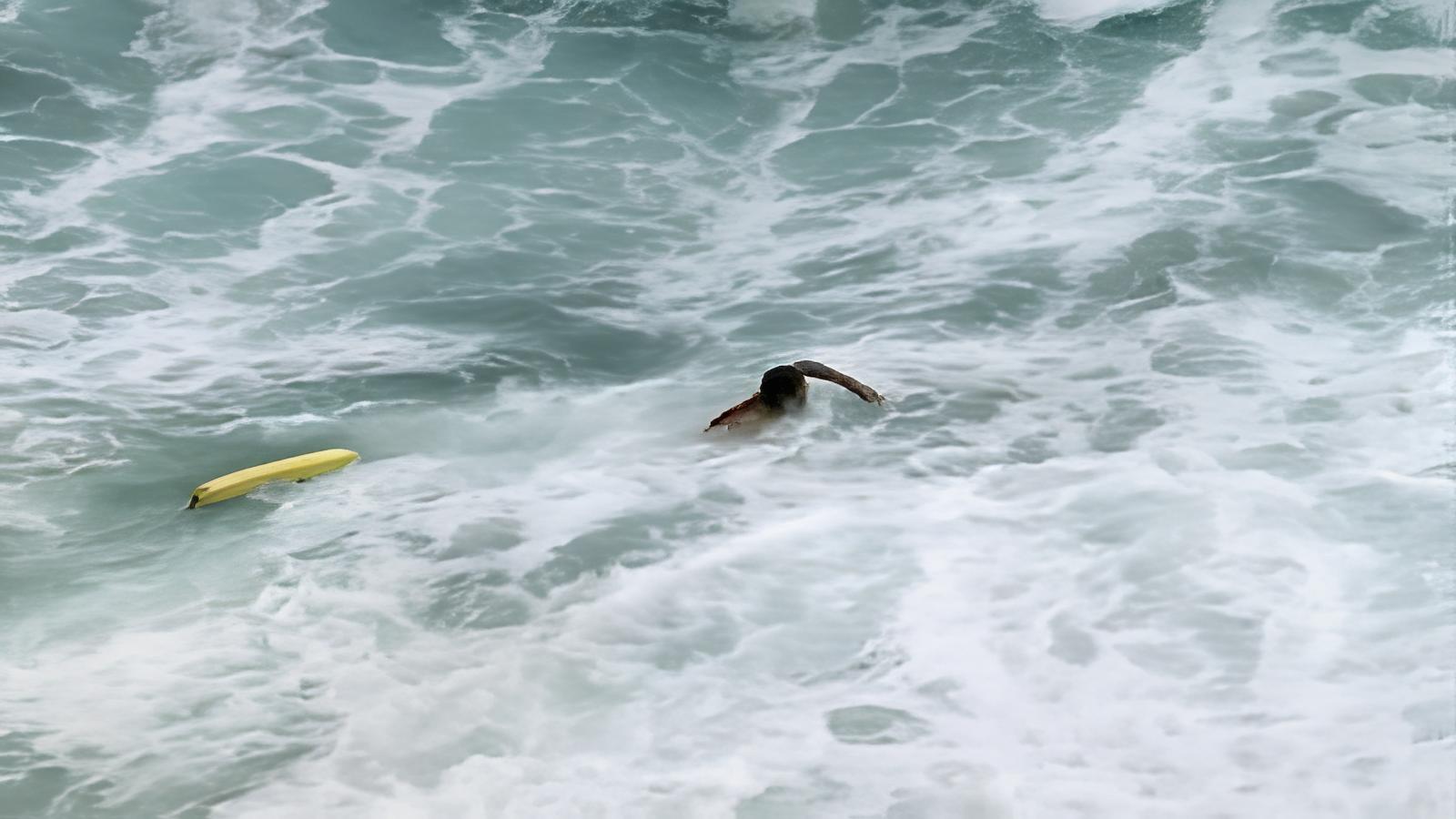 Bondi Rescue 8-8